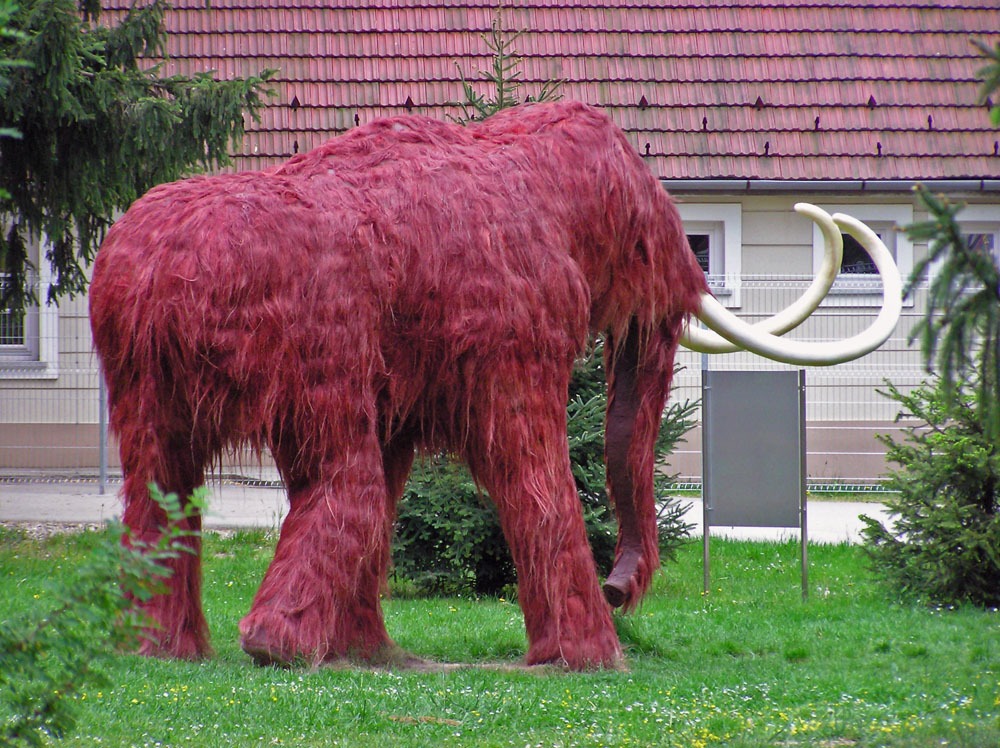 H�zi mamut