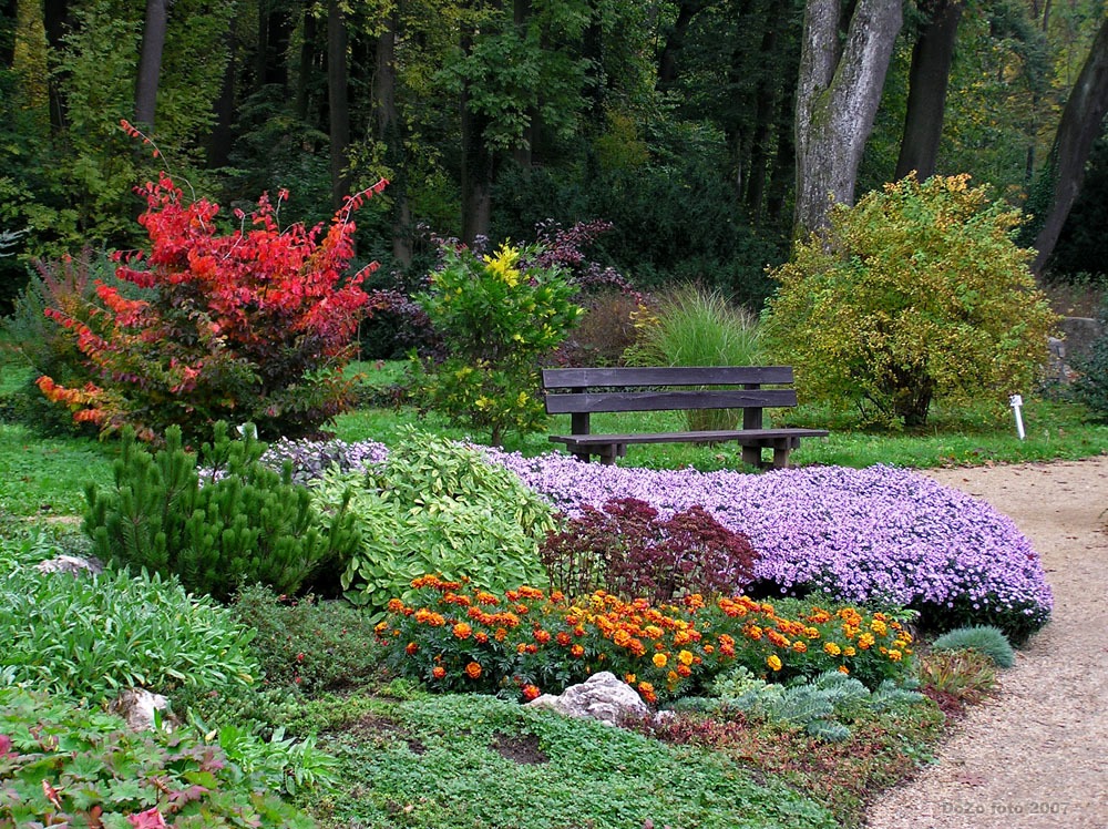 Arbor�tum Zircen