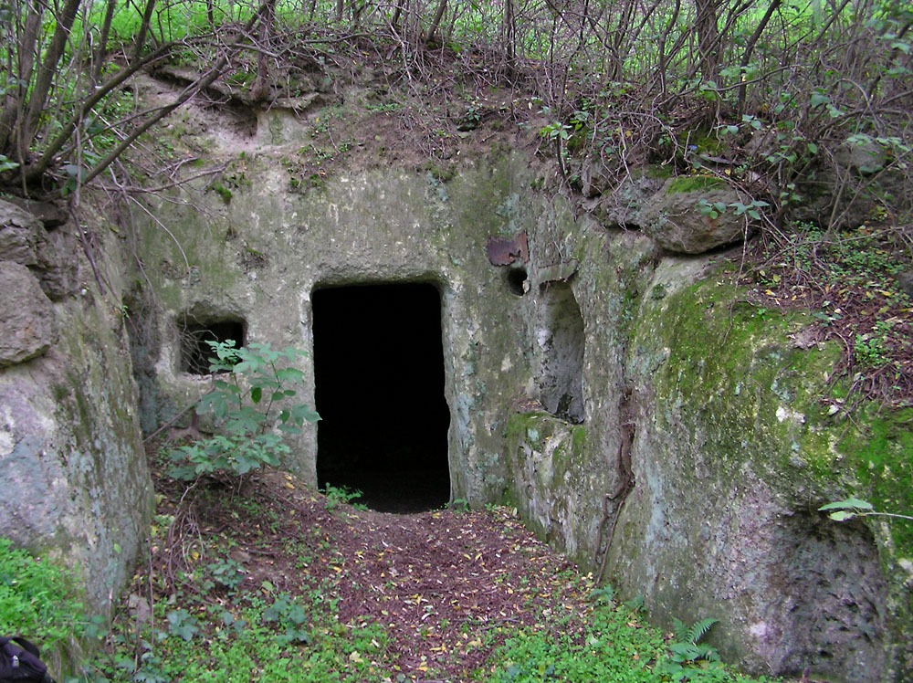 K�f�lke a Nyerges-hegyi kapt�rk�vekn�l (B�kk)