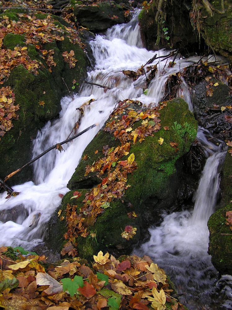 Als�-H�mori patakocska (B�kk)
