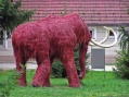 H�zi mamut
