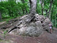 A K�szegi-hegys�gben.