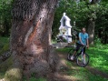 M�ria k�poszlop...(Par�df�rd� alatt)