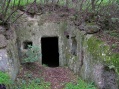 K�f�lke a Nyerges-hegyi kapt�rk�vekn�l (B�kk)
