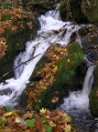 Als�-H�mori patakocska (B�kk)