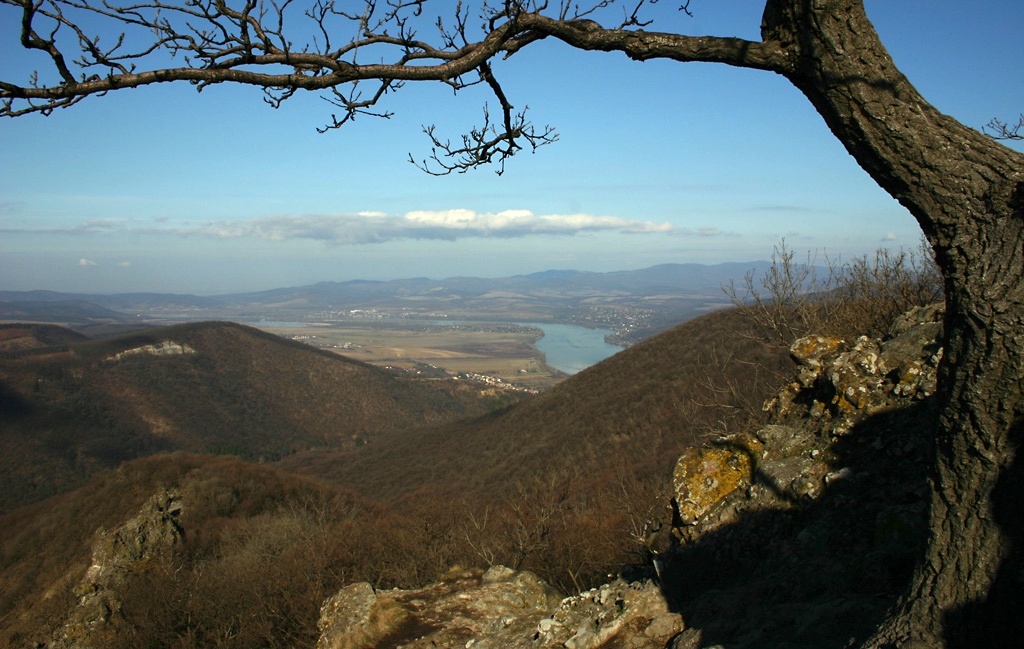Kil�t�s a Vad�ll�-k�vekt�l
