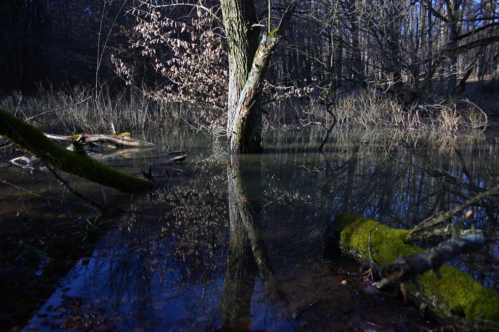 Tavacska a Sik�rosi-r�t sark�n (Visegr�di-hg)