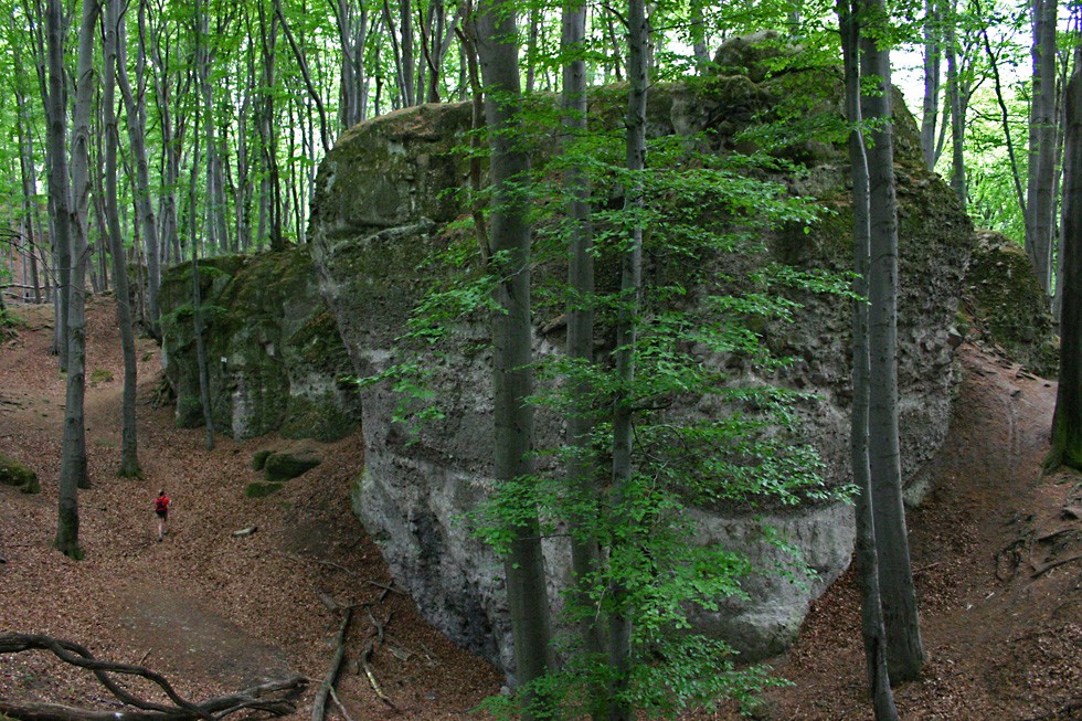 Zsiv�ny-szikl�k (Pilis)