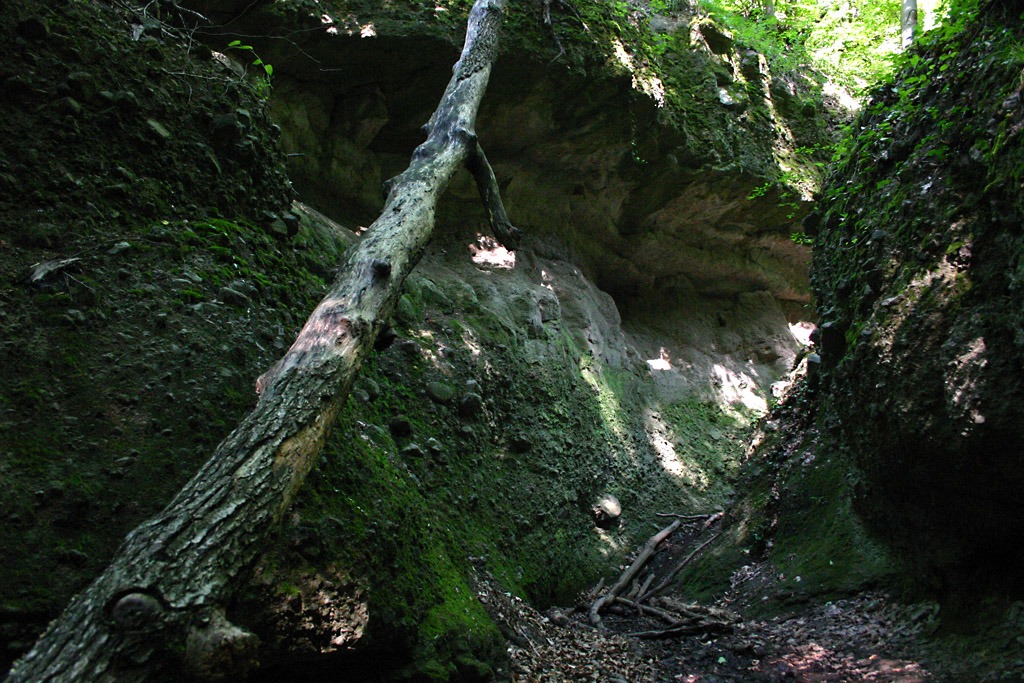 Holdvil�g-�rok...