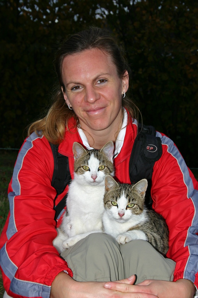 Cicusok