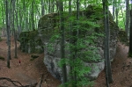 Zsiv�ny-szikl�k (Pilis)