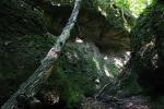Holdvil�g-�rok...