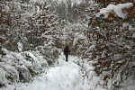 Novemberi h� a B�rzs�nyben