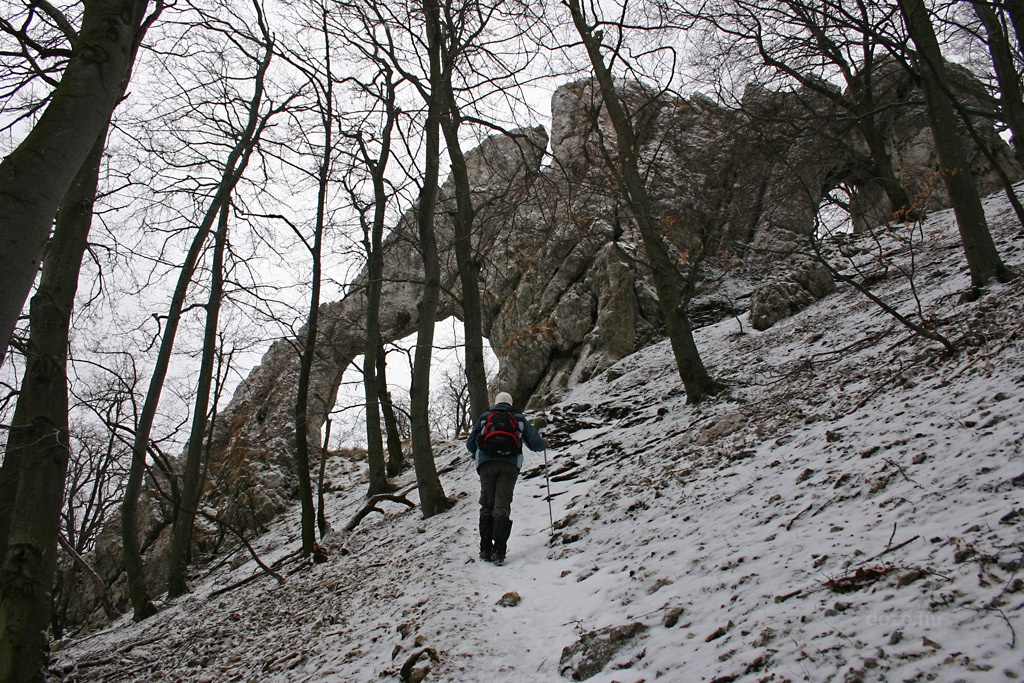 2009-01-31 06 Vaskapu