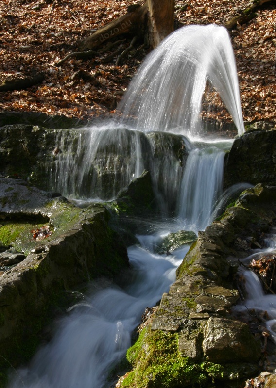 2009-03-08 Az időszakosan működő Vöröskő-forrás