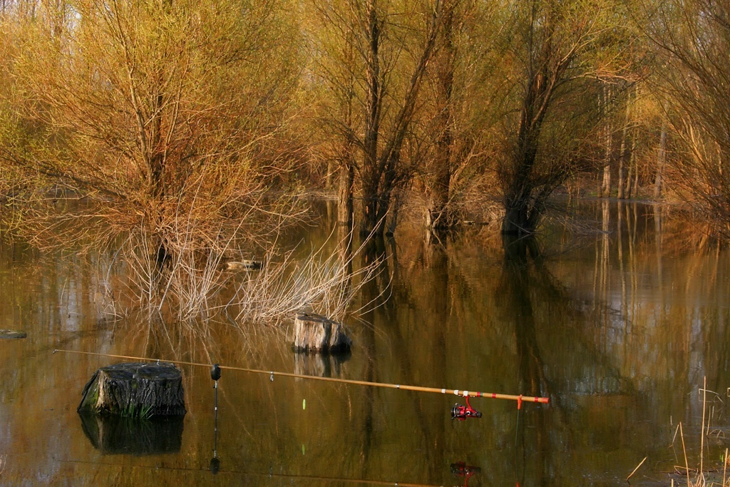 2009-04-04 Fehérvárcsurgó, távirányítású pecabot