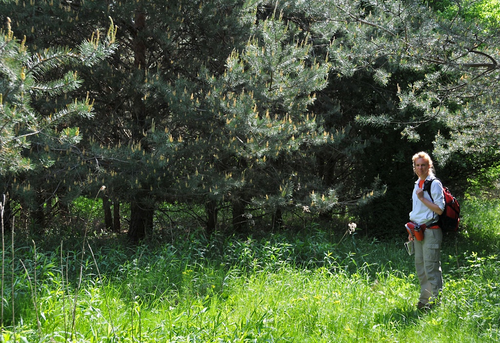 2009-05-02 Dél-dunántúli Kéktúra az Őrségben