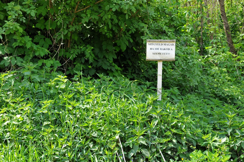2009-05-03 Fura, de hatásos tábla Zalalövő határában