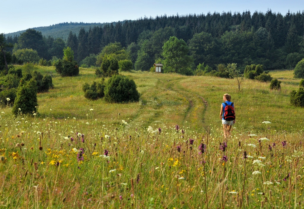 2009-08-02 Bükk-fennsík
