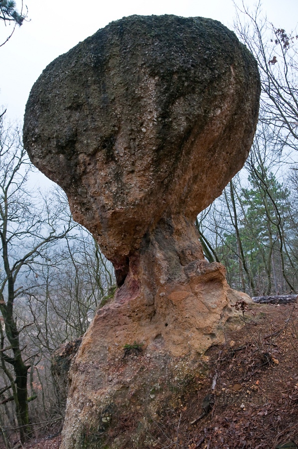 2009-12-05 Gomba-szikla Piliscsabán