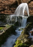 2009-03-08 Az időszakosan működő Vöröskő-forrás