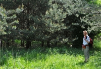 2009-05-02 Dél-dunántúli Kéktúra az Őrségben