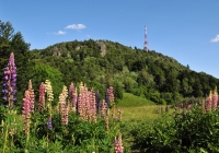 2009-06-13 Szitnya/Sitno csúcs (Szlovákia)