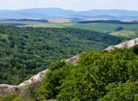 2009-07-11 Disznófő (Budai-hg)