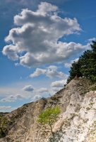 2009-07-11 Disznófő-2 (Budai-hg)