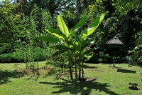 2009-07-26 Erdőtelki arborétum