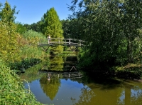 2009-07-26 Erdőtelki arborétum
