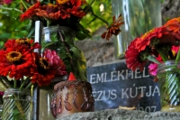 2009-08-08 Jézus kútja 2 (Kács)
