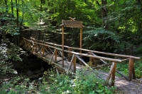 2009-09-06 Híd az Apát-kúti-völgyben (Visegrádi-hg)
