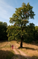2009-09-20 fa
