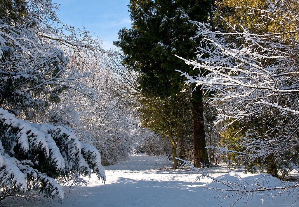 Erzsbet park (Gdll)...