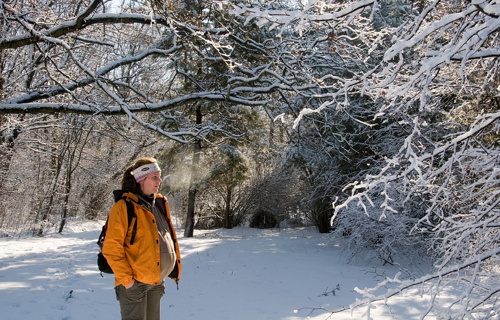 Erzsbet park (Gdll)