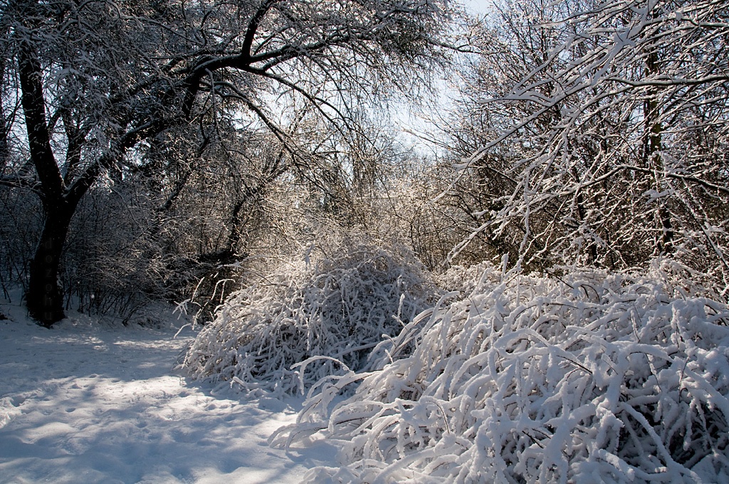 Erzsbet park (Gdll)