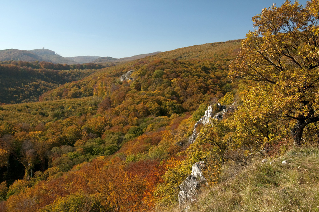 sz a Garadna-vlgyben  (Bkk)