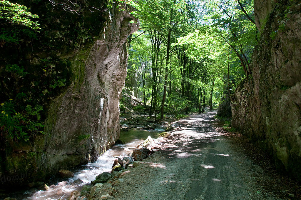 Az egyedi szpsg, patakos, vzvjta sziklakanyon tbb km hossz, helyenknt csupn 10 m szles